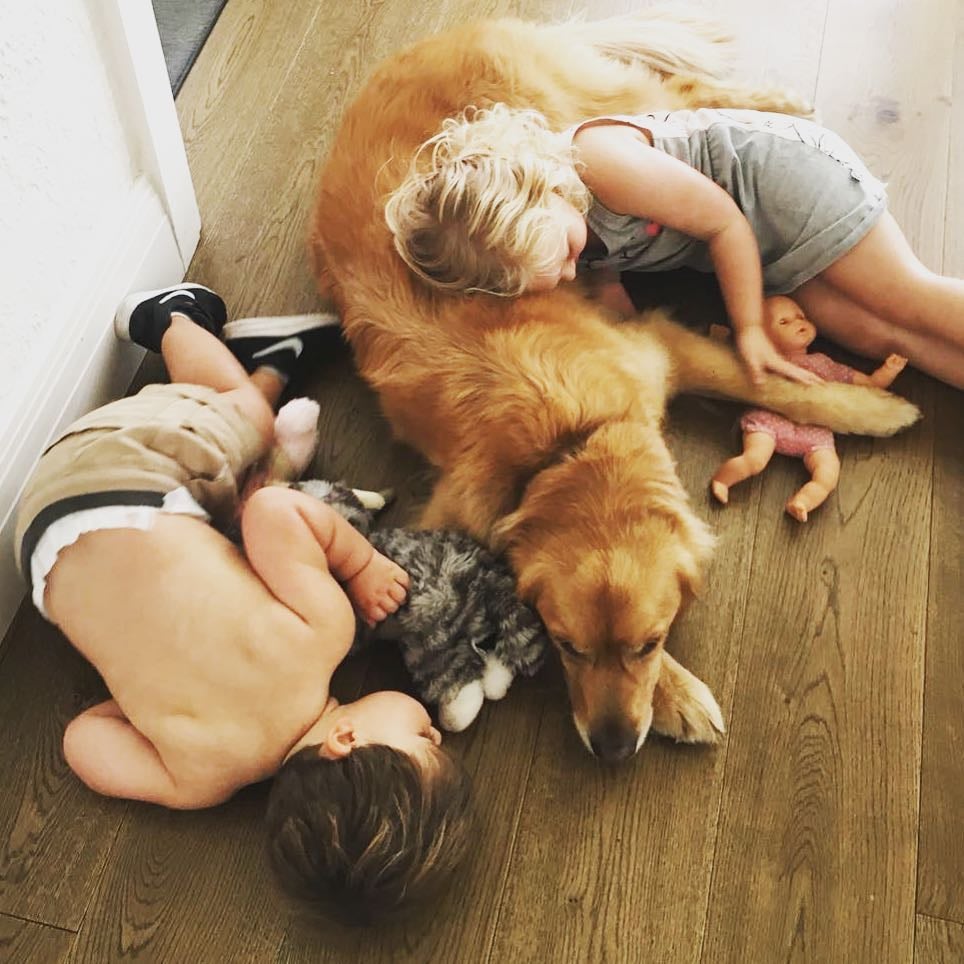 Cute Pictures of Dogs Napping With Kids and Babies