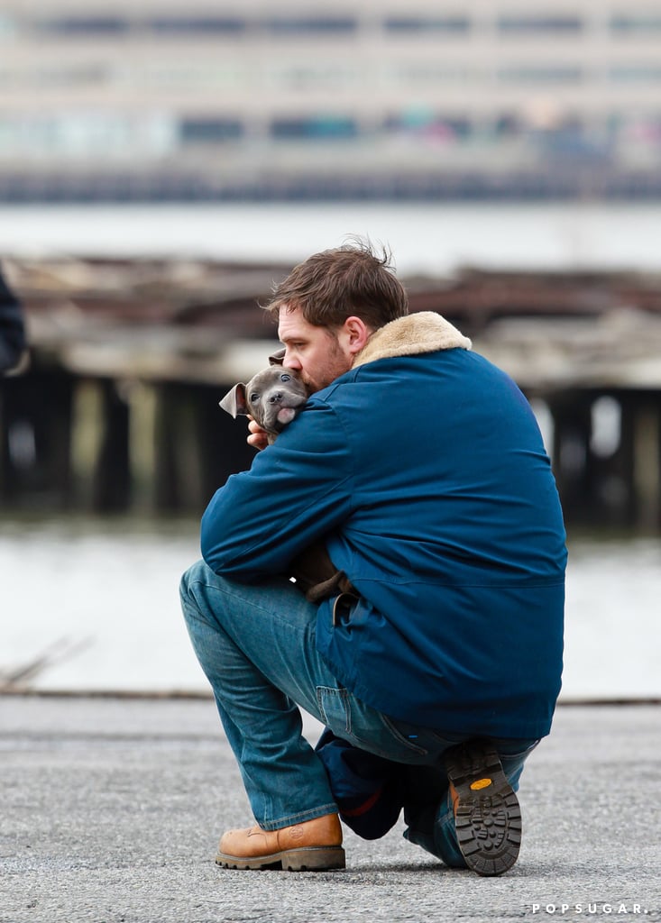 Tom Hardy and his four-legged costar shared a moment on the set of his film The Drop in March 2014.