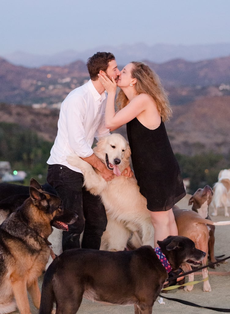 Man Proposes to His Girlfriend With 16 Dogs