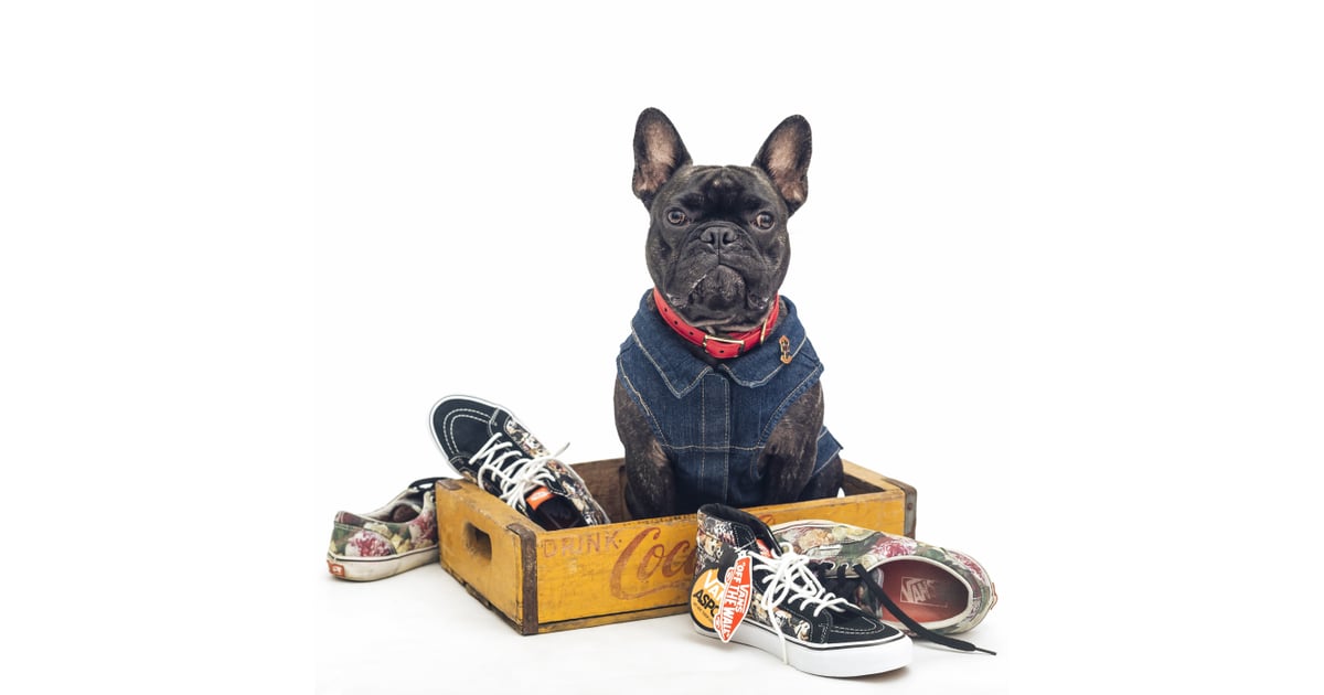 vans aspca dog backpack