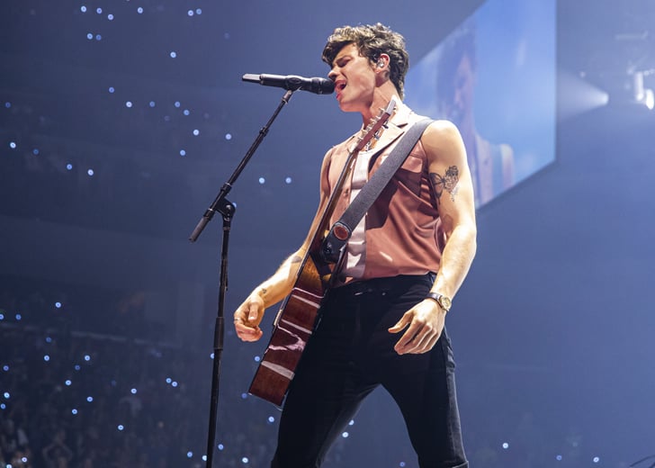 More Than Meets the Ear: Even More Reasons To Love Shawn Mendes - Faze