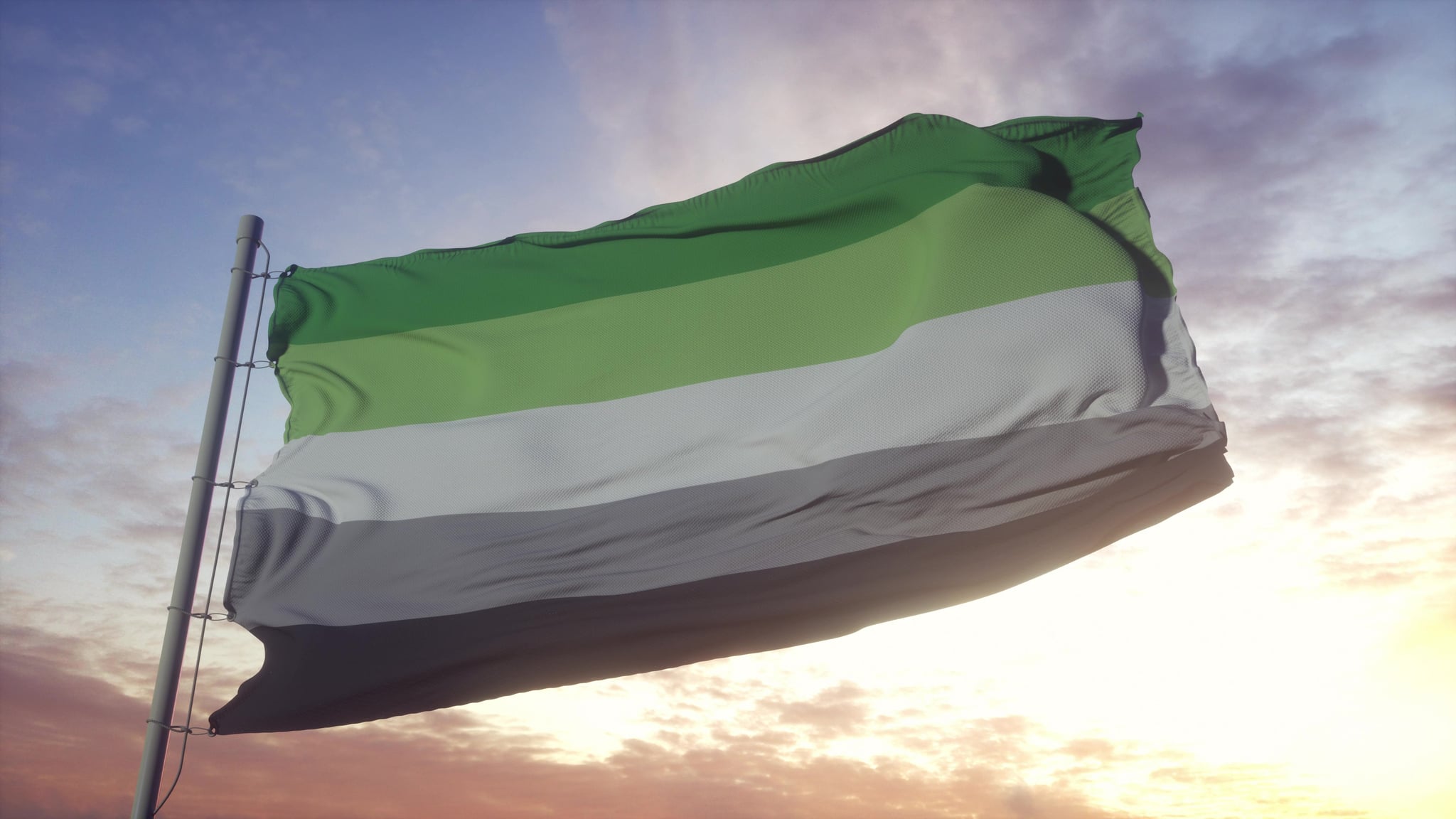 Aromantic pride flag waving in the wind, sky and sun background. 3d rendering.