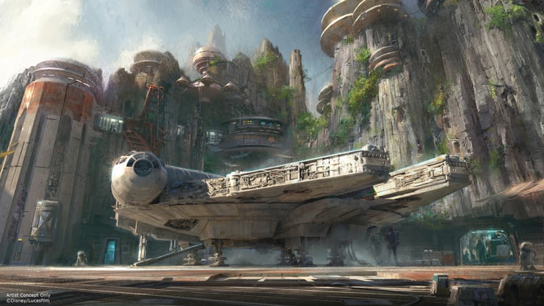 You'll be able to fly in the Millennium Falcon.