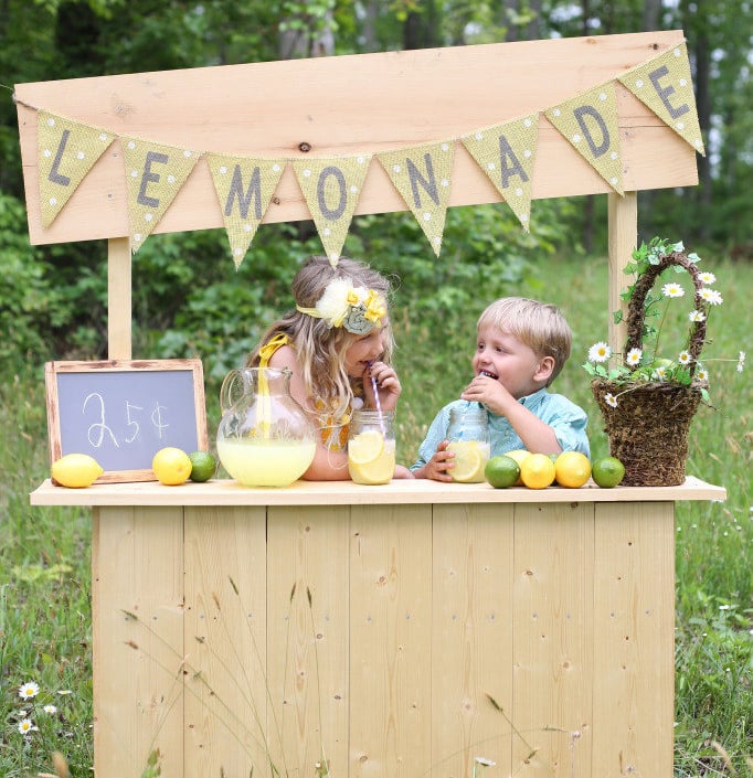 Start a Lemonade (or Hot Cocoa) Stand