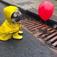 This Adorable Pug Remake of It Is the Nonscary Version That Wimps Deserve