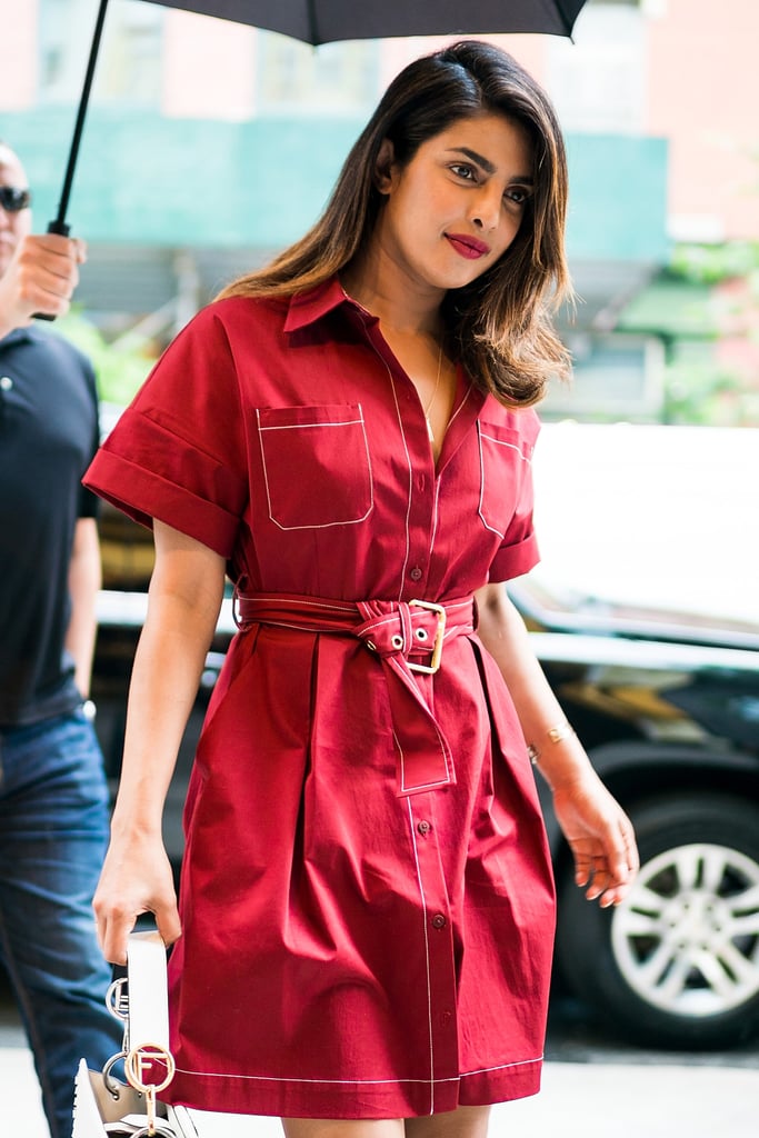 Priyanka Chopra's Diane Von Furstenberg Dress