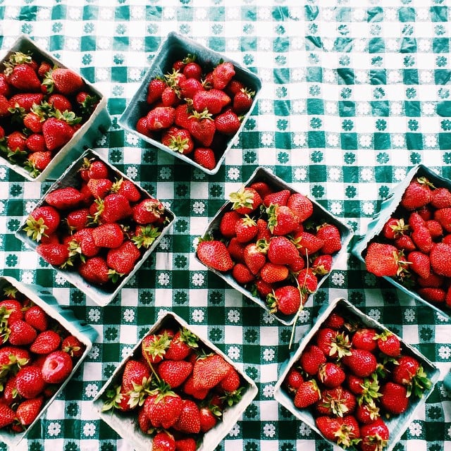 She styles the best farmers market photos.