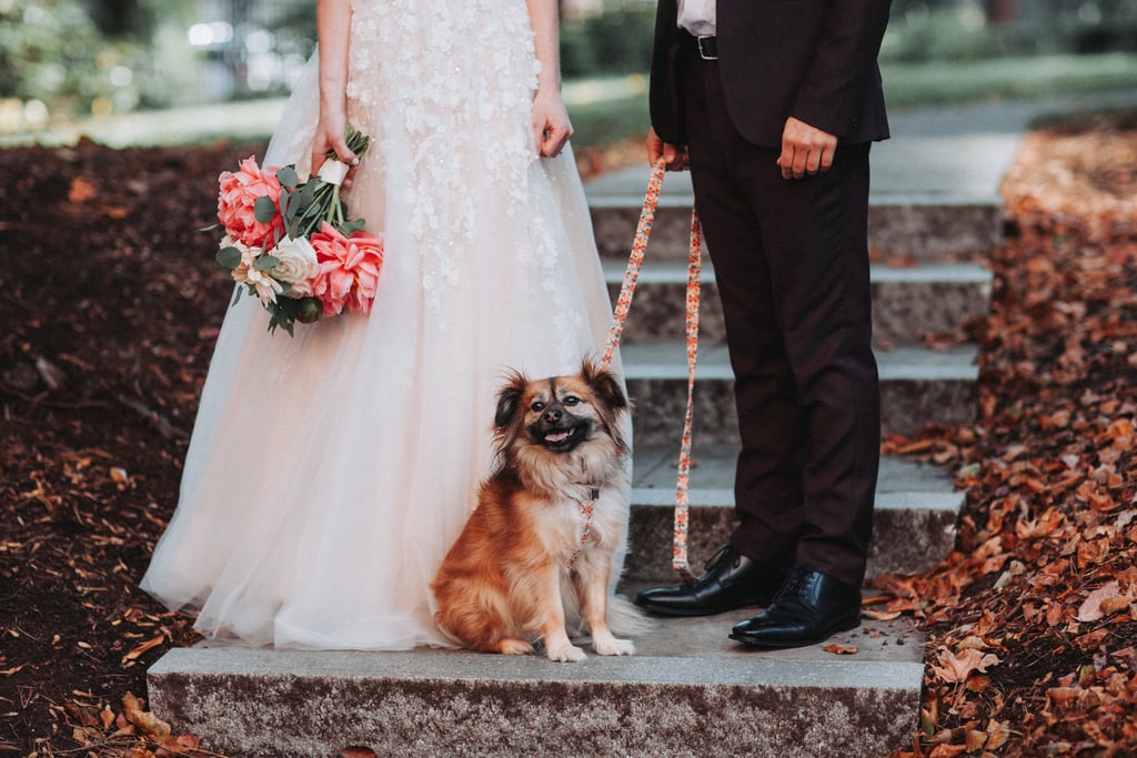 Dogs in Weddings