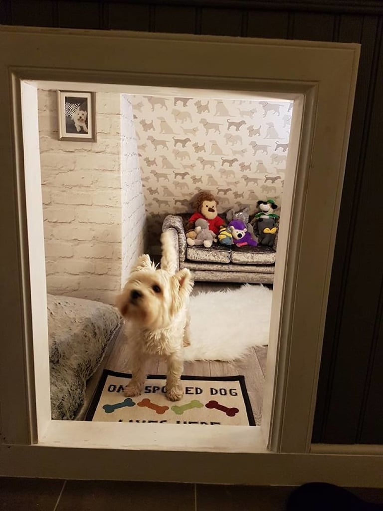 Dad Turns Stairwell Nook Into Room For Dog