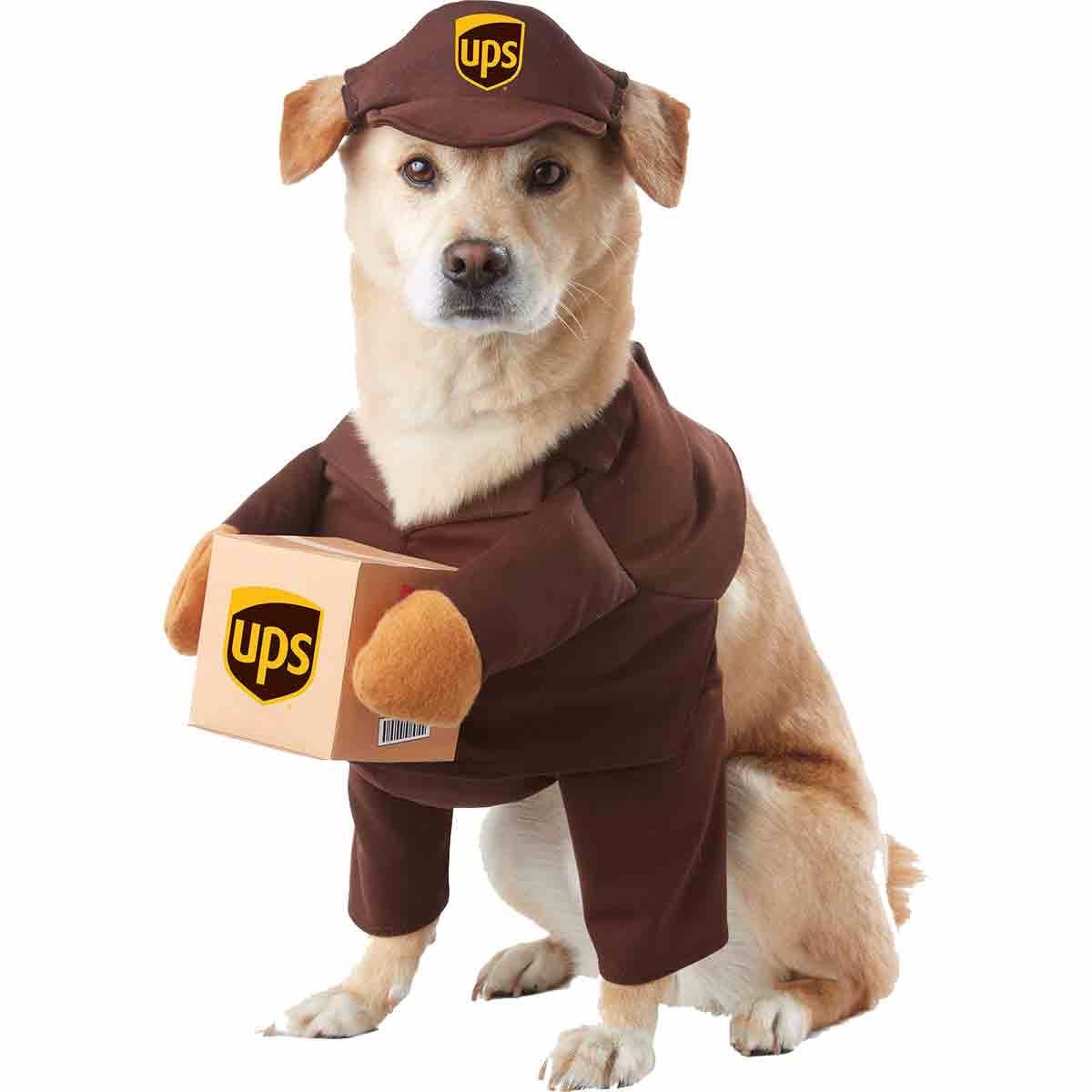 pet halloween costumes