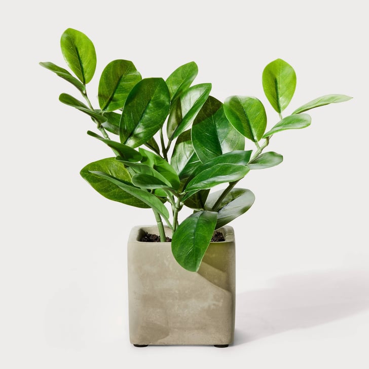 An Artificial ZZ Plant Hilton Carter For Target Home and Plant