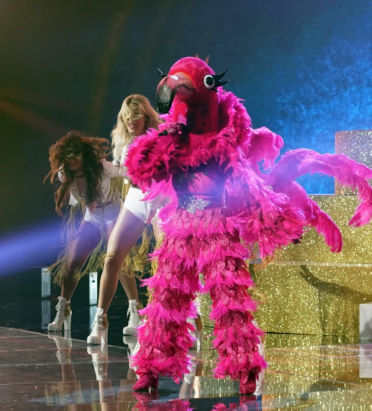 Season 2: The Flamingo | The Masked Singer: Every ...