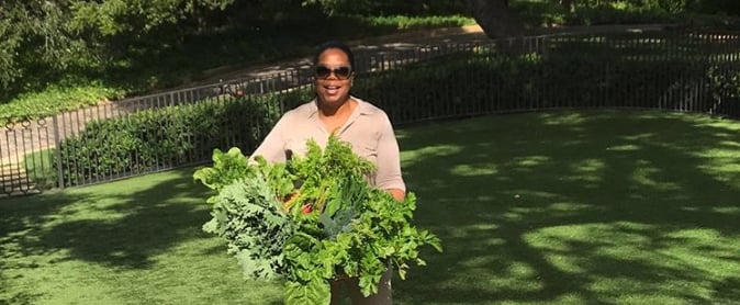 26 Times Oprah Winfrey Gave Us Peeks Inside Her Stunning Homes