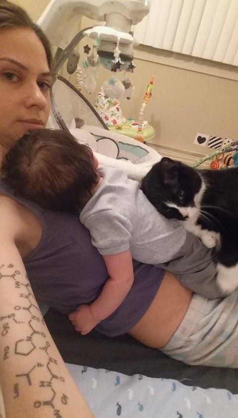 Cat Taking Care of Baby