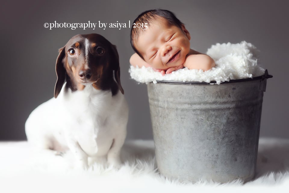 Adorable Newborn and Pet Photos