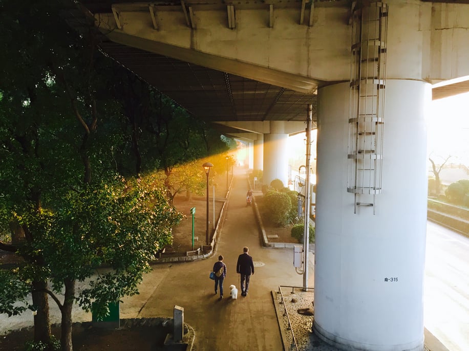 "Capturing opposing subjects together, like the manmade overpass and the natural element provided by the trees in this photo, helps create a compelling contrast."