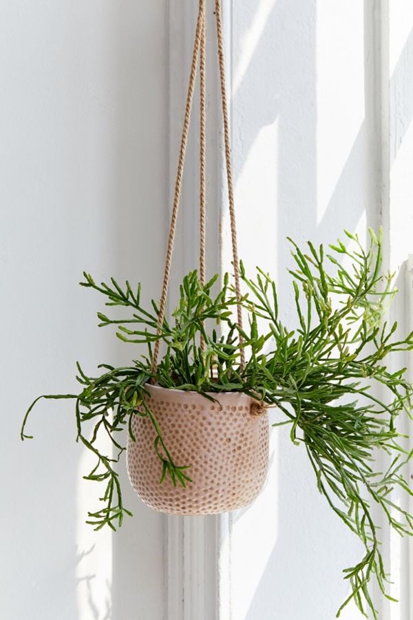 Dimpled Ceramic Hanging Planter