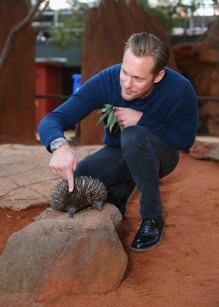 Alexander Skarsgard Playing With Zoo Animals