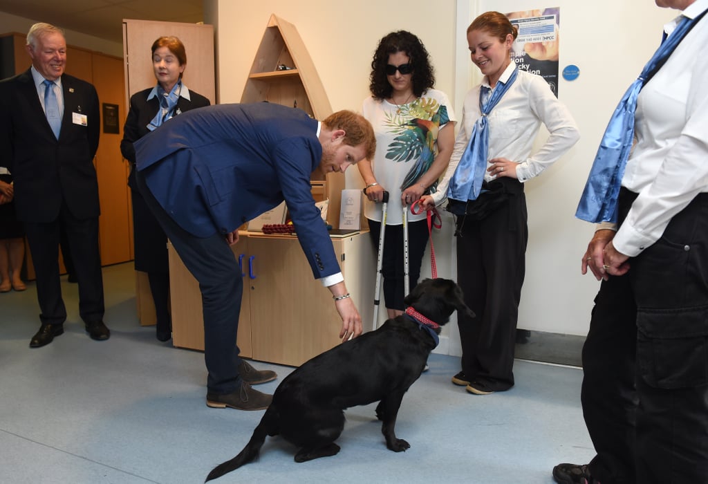 Prince Harry Visiting Suffolk July 2017