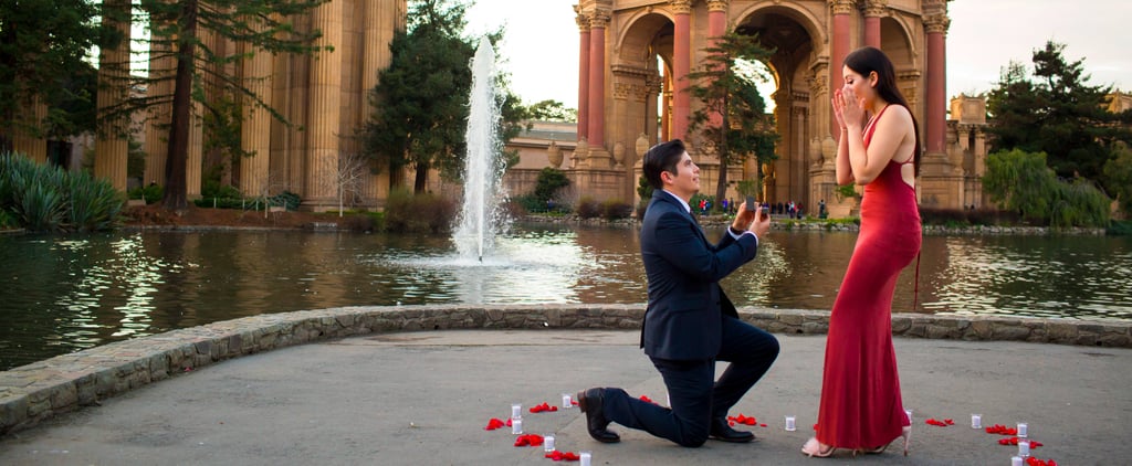 Proposal at the Palace of Fine Arts