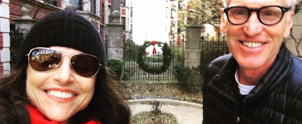 Julia Louis-Dreyfus Is All Smiles Visiting Chicago With Her Husband