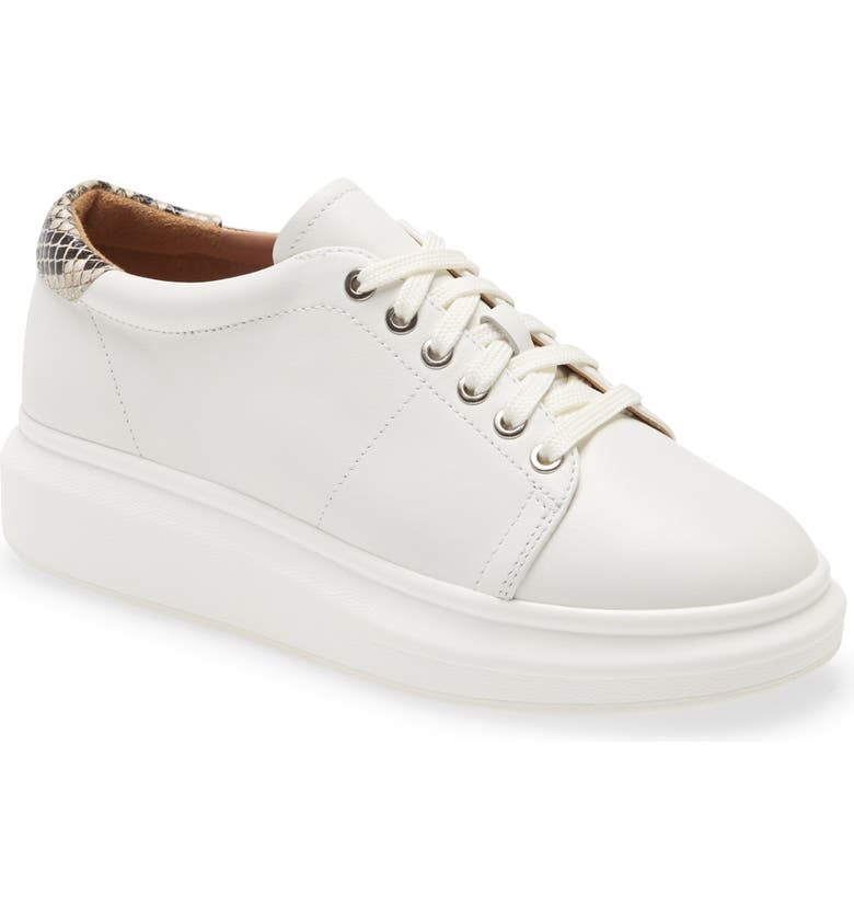 linea paolo platform sneaker