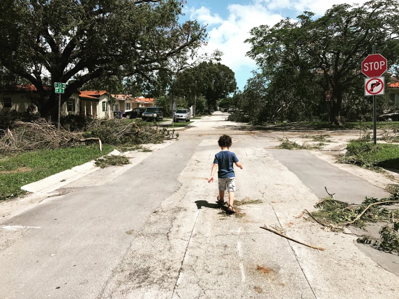 My Post-Irma Street — The American Experience Finalist