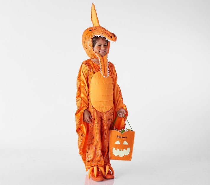 Kids Light Up Pterodactyl Halloween Costume Pottery Barn Kids
