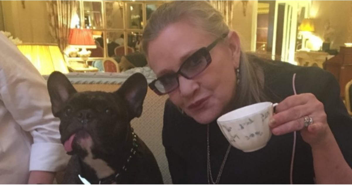 Carrie Fisher's Dog, Gary, Instagrams POPSUGAR Pets