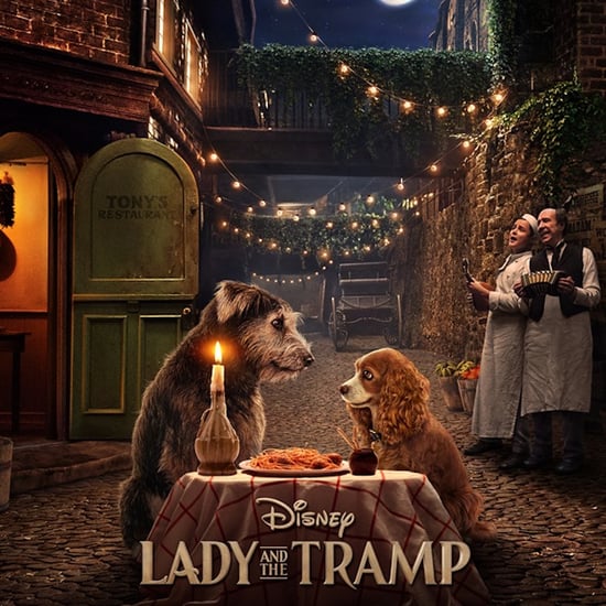 Lady and the Tramp Live-Action Remake Movie Poster