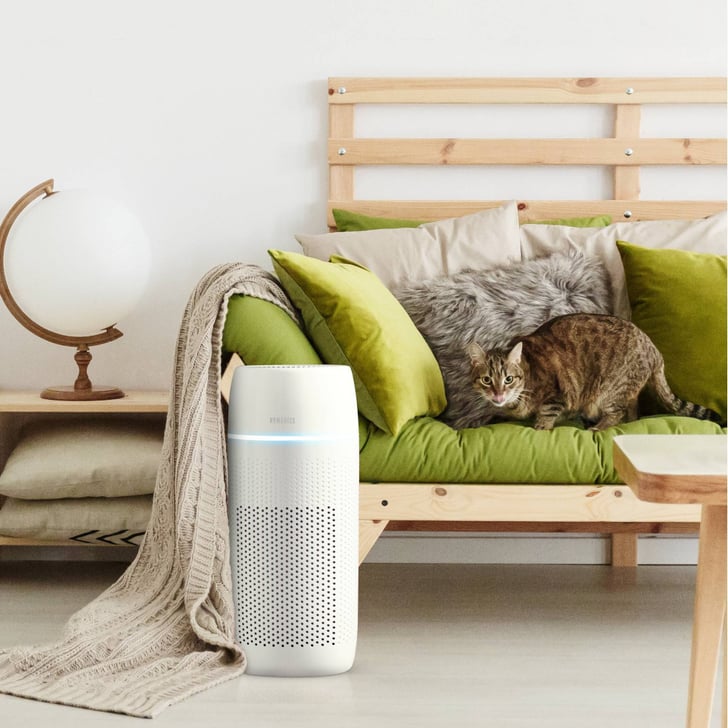 TopRated Air Purifiers at Target POPSUGAR Home