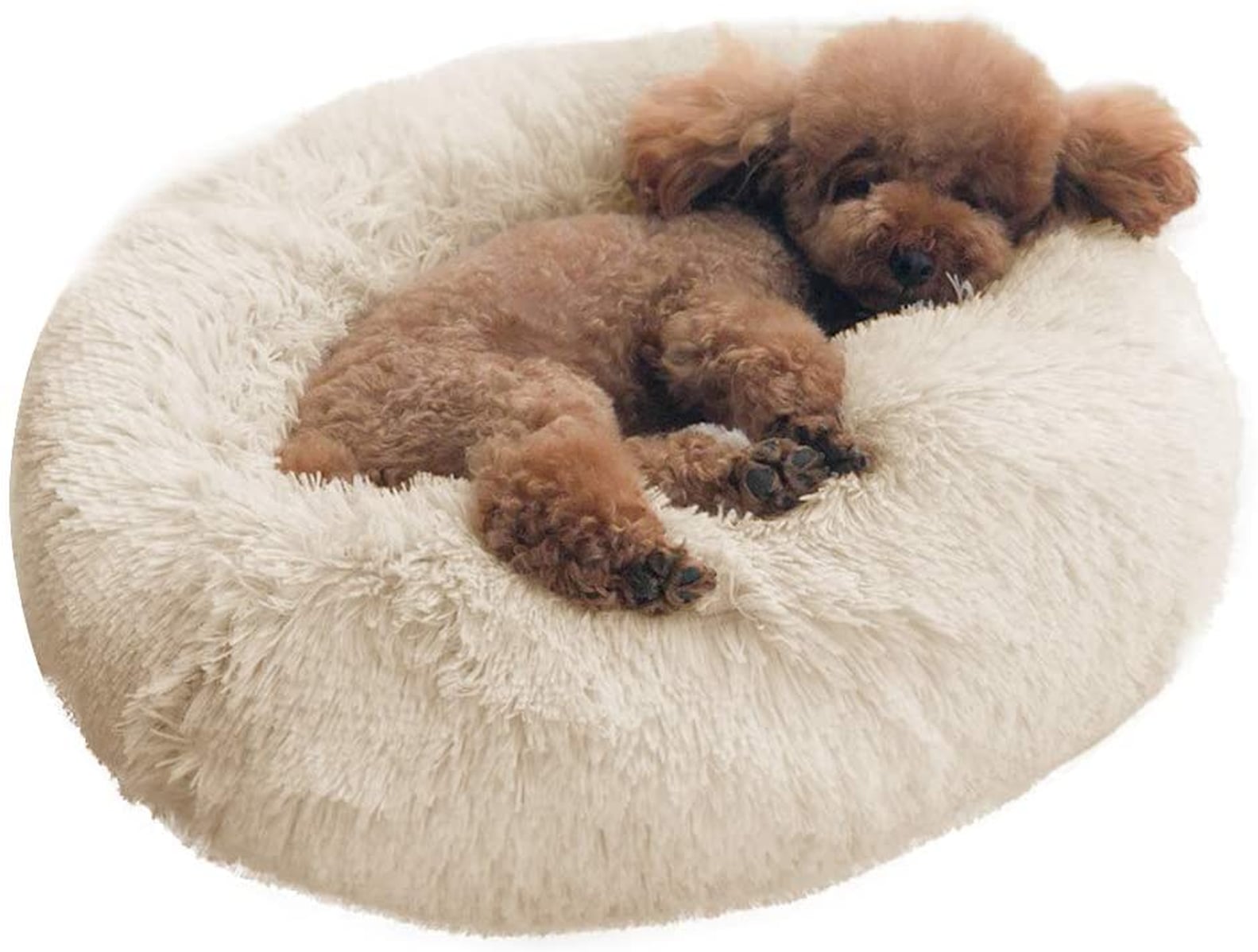 Gifts For New Cat Owners 2020 POPSUGAR Pets