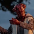 What We Know About Joseph Gordon-Levitt's Last Jedi Character, Slowen-Lo