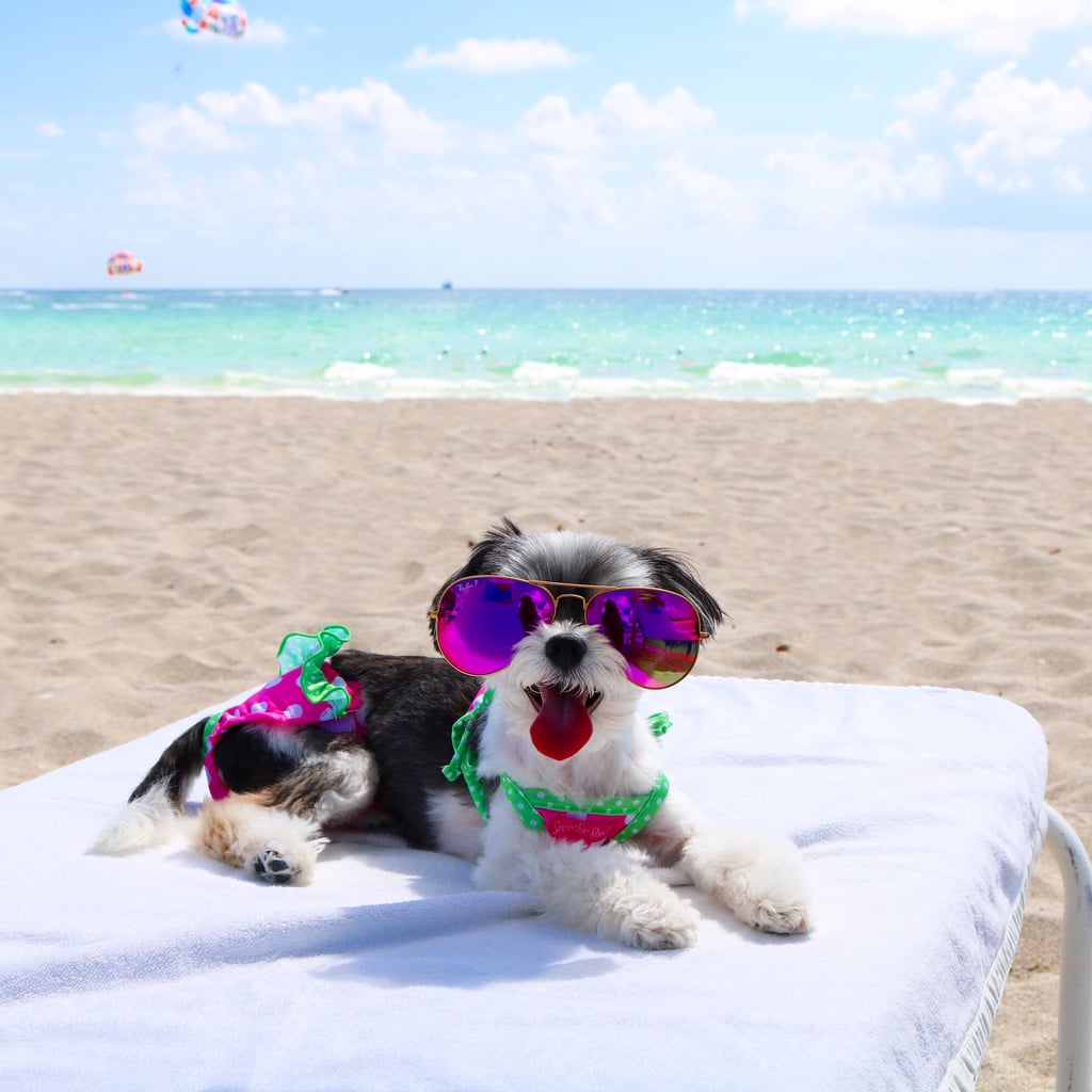 The private beach life is the only way a diva like me will do South Beach!