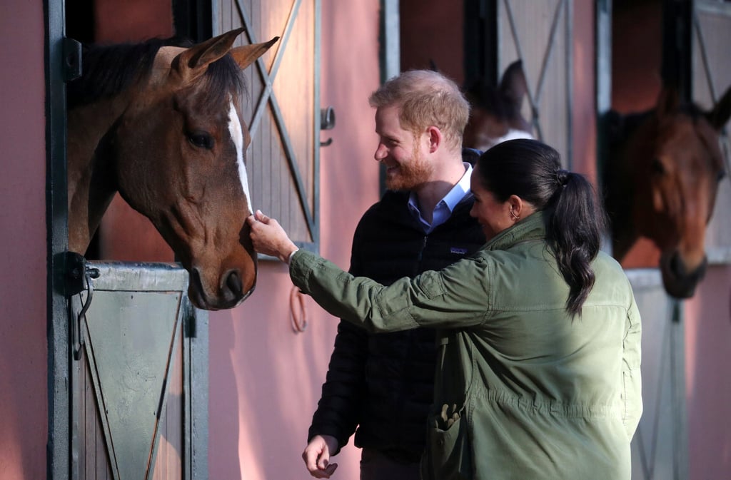 Meghan and Harry With Horses on Morocco Tour February 2019