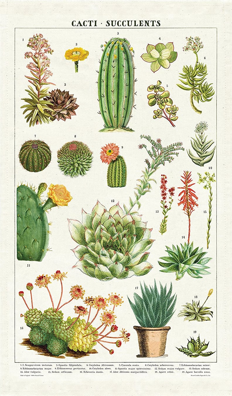 Succulent Cotton Tea Towel