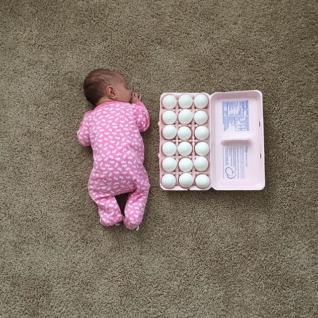 Baby vs. eggs.