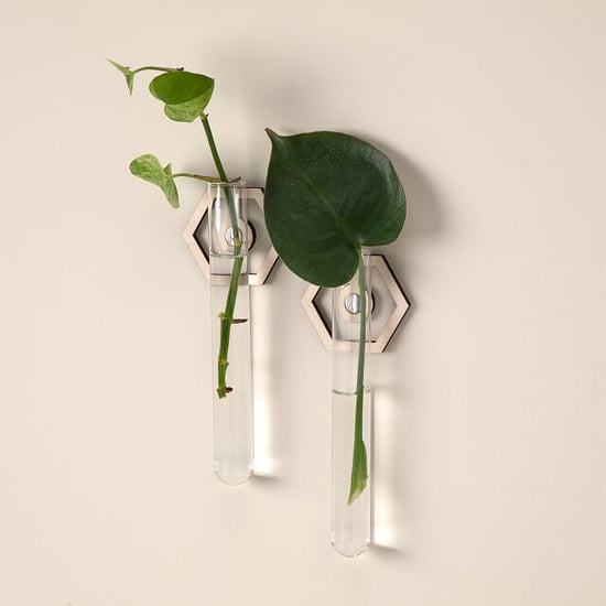 Garden Accessories From Uncommon Goods
