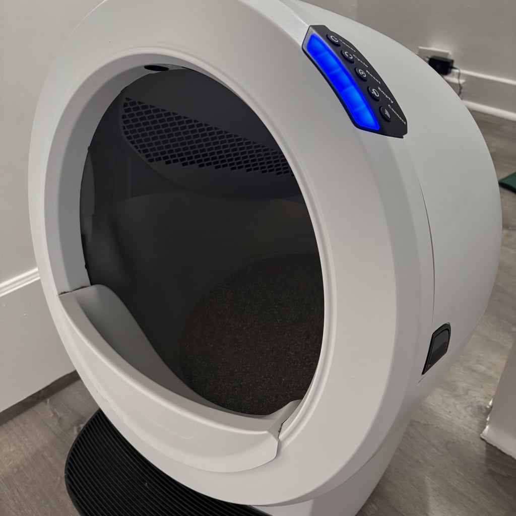 The Litter-Robot 4 Made My Least Favorite Chore Disappear