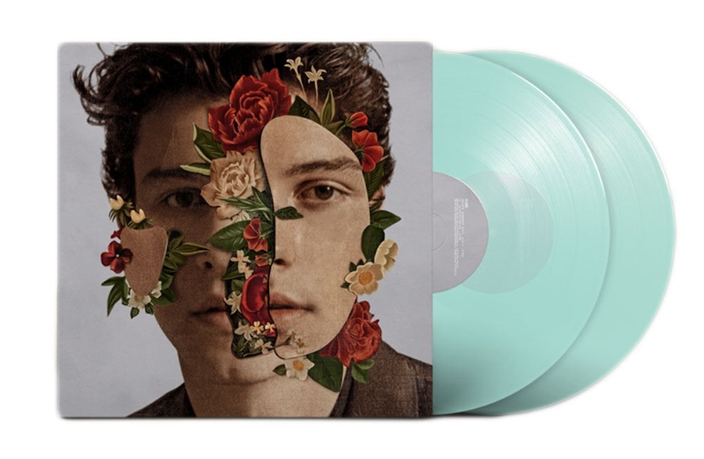 Gifts For Shawn Mendes Fans Popsugar Entertainment