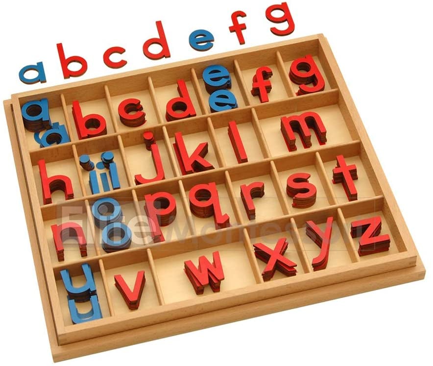 Elite Montessori Wooden Movable Alphabet with Box Homeschooling