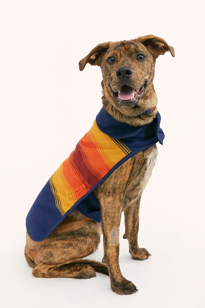 pendleton dog coat