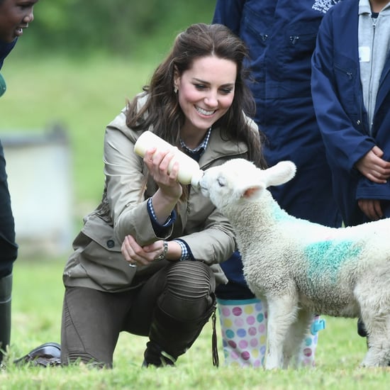 Kate Middleton Feeding a Lamb Pictures May 2017