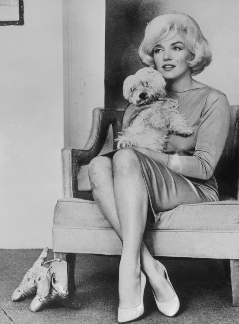Marilyn Monroe's Dog, Mafia