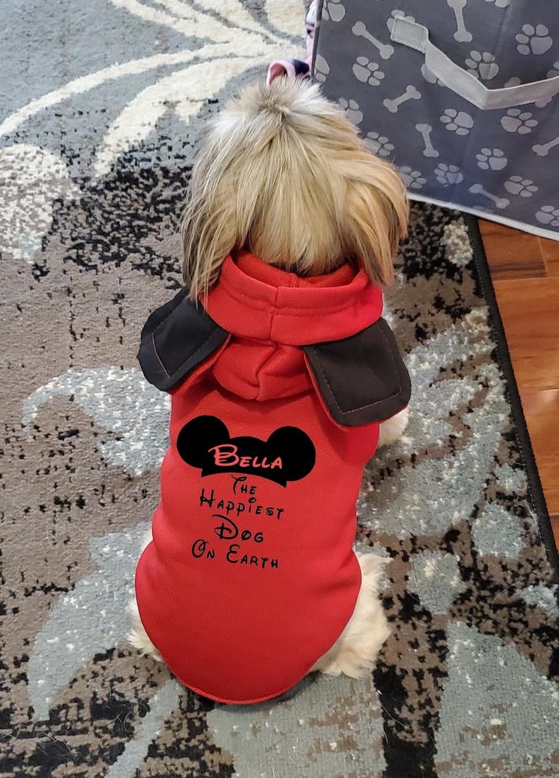 disney dog hoodie