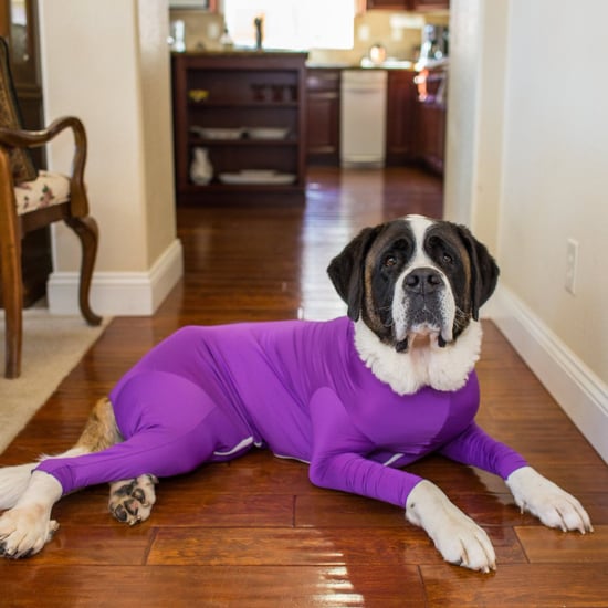 Shed Defender Dog Leotards