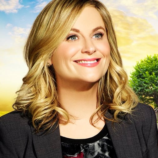 Image result for leslie knope