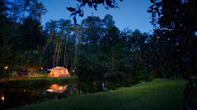 Go Camping While at Disney