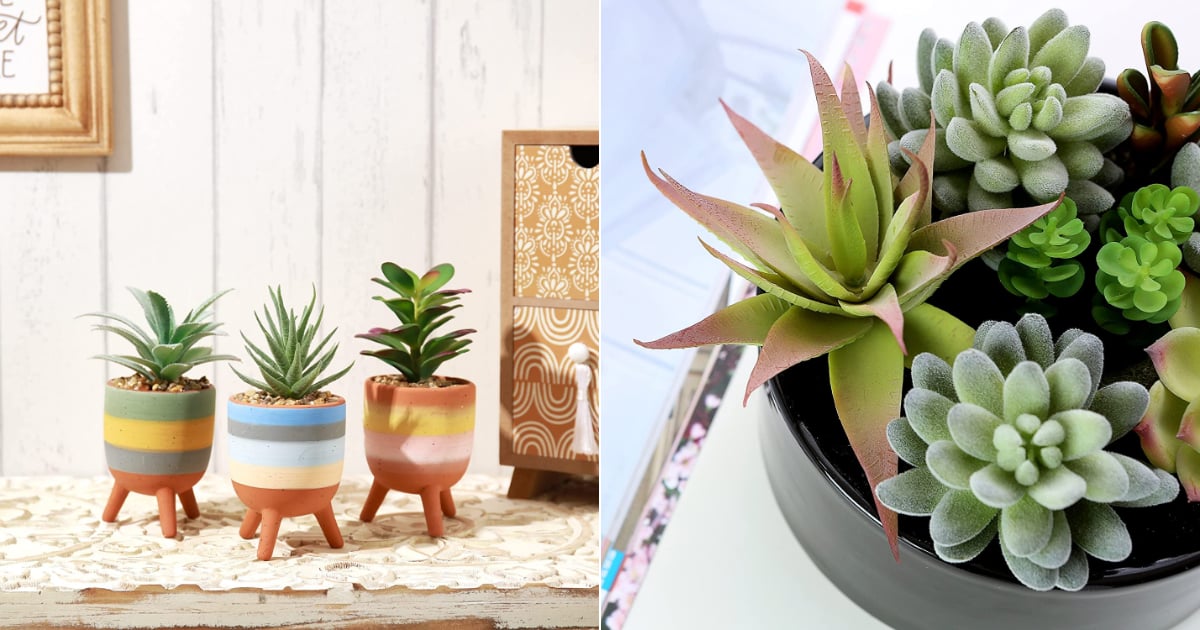 Faux Succulents on Amazon POPSUGAR Home