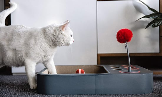 Best Pets Products on Amazon Launchpad POPSUGAR Smart